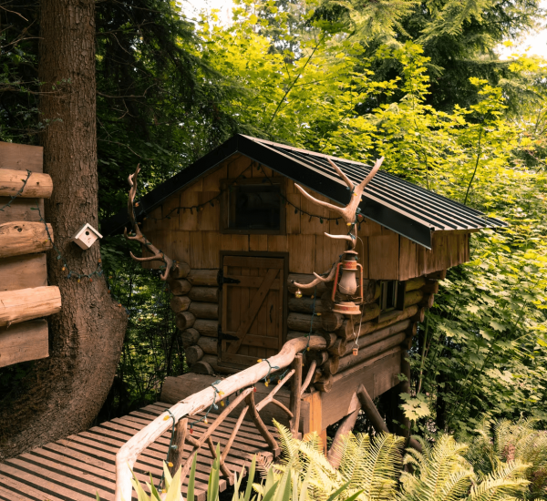 Cape Carraholly Retreat - Vancouver (12)