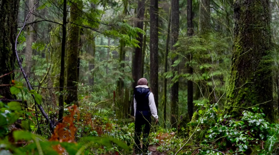 Cape Carraholly Retreat - Vancouver (6)