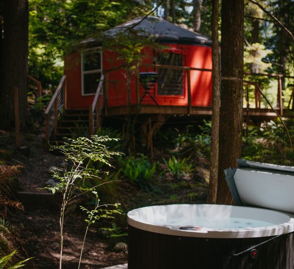 Chickadee hot tub