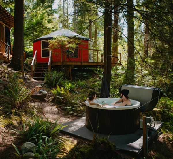 Chickadee yurt