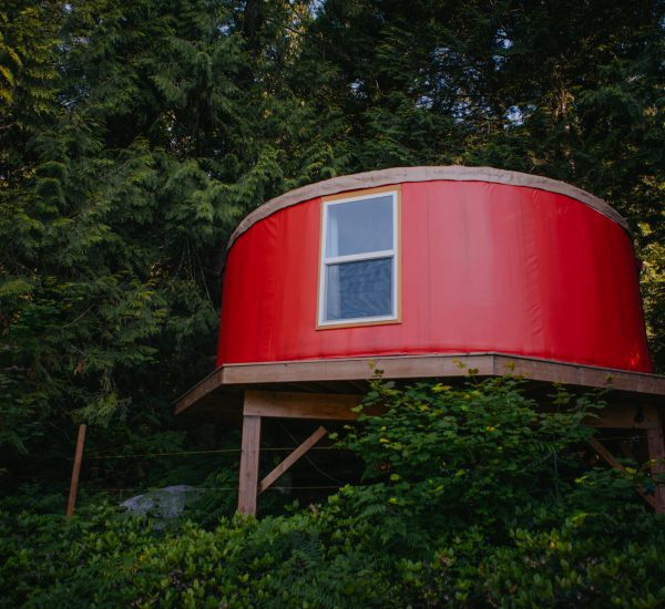 Goldeneye Yurt (1)