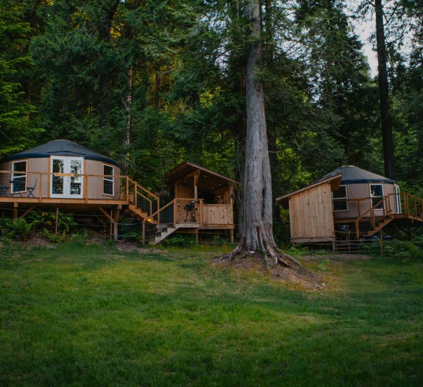 Nuthatch and kingfisher Yurt