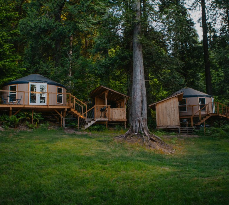 Nuthatch and kingfisher Yurt